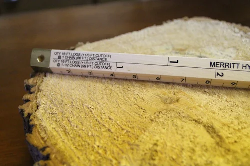 [55S] Cruiser Stick w/Brass Ends