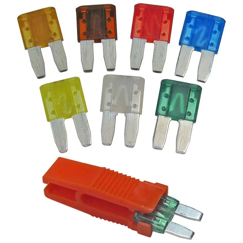 Assorted Fuses & Pullers 
