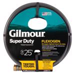 874251 Gilmour