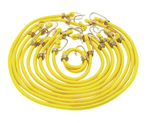 [1455 PFT] 1455 10pc Bungee Cord