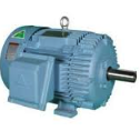 [HHI5-18-184TC HYN] Hyundai 3 Phase TEFC Motor
